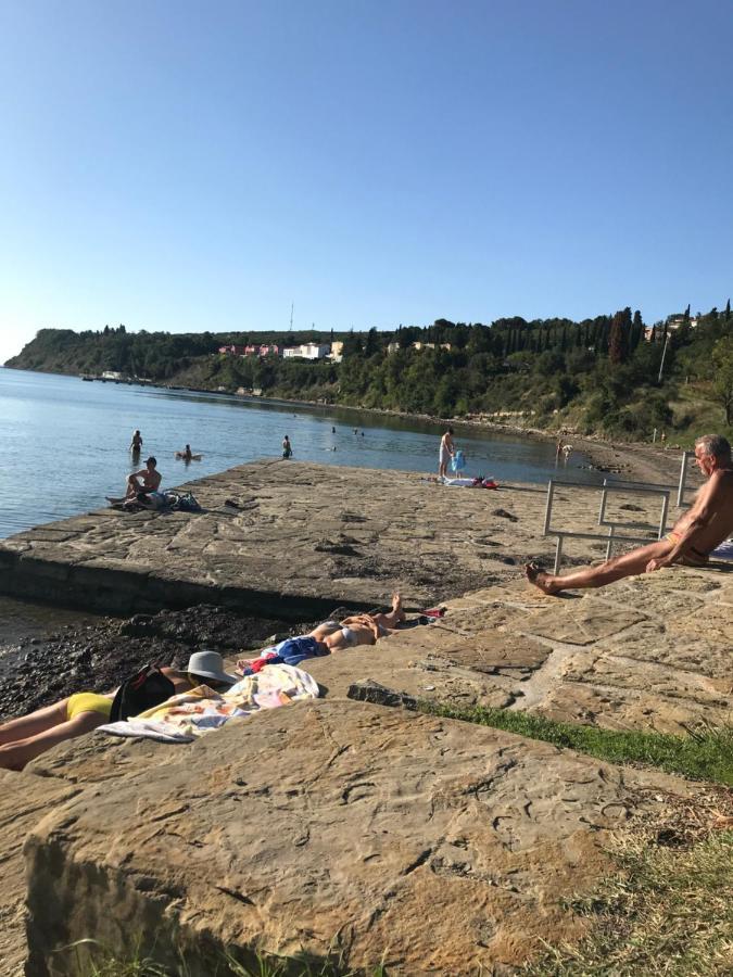 Istrska Hisa Centurium Villa Marezige Eksteriør bilde