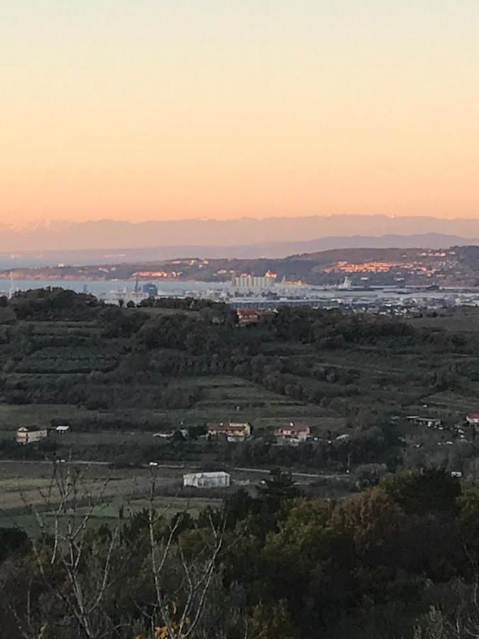 Istrska Hisa Centurium Villa Marezige Eksteriør bilde